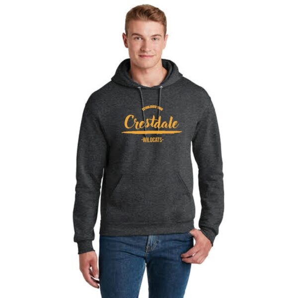 Distressed Script Crestdale Hoodie